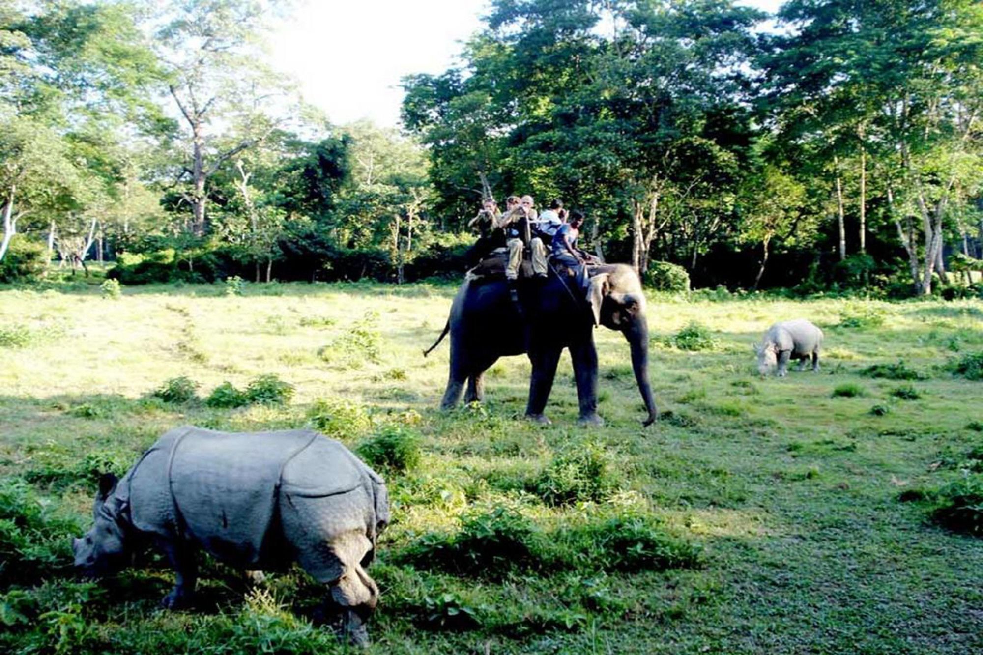 Safari Wildlife Lodge And Camp Chitwan Exteriér fotografie